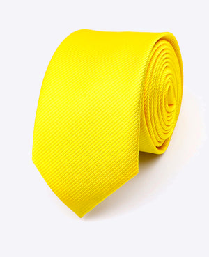 Slips Gul n°1 Herr Polyester | Lucien - Unipap's