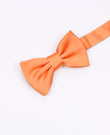 Fluga Orange nr 2 Barn i Polyester | Anatole - Unipap's