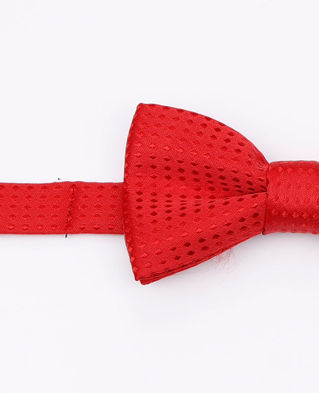 Röd Fluga n°1 med Prickar Barn i Polyester | Louis - Unipap's
