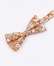 Herrfluga i bomull – Liberty Orange «Clovis»