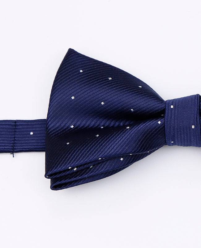 Blå fluga nr 1 med prickar herr i polyester | Georges - Unipap's