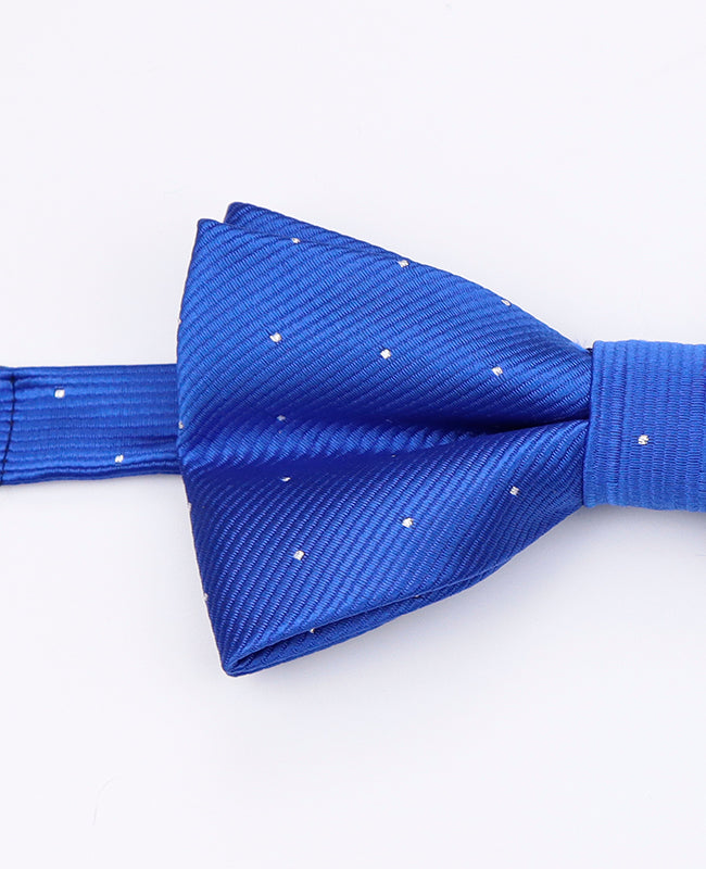 Fluga Blå n°2 med Prickar Herr Polyester | Georges - Unipap's