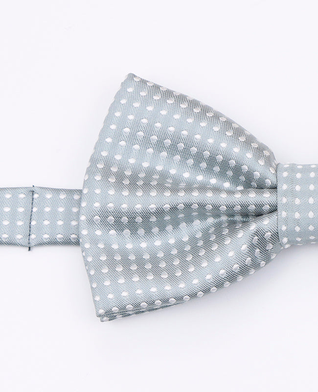 Grå Fluga med Prickar för Herr i Polyester | Louis - Unipap's