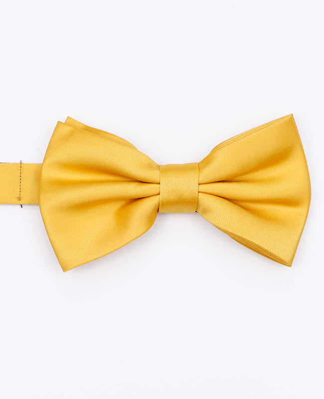 Fluga Gul n°1 Herr i Polyester «Anatole»