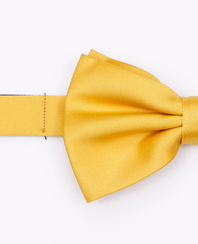 Fluga Gul n°1 Herr i Polyester «Anatole»