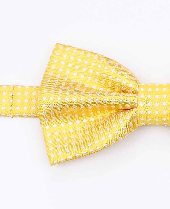 Noeud Papillon Jaune n°1 à Pois Homme en Polyester | Louis - Unipap's