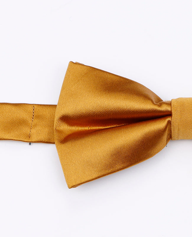 Noeud Papillon Or n°1 Homme en Polyester | Jules - Unipap's