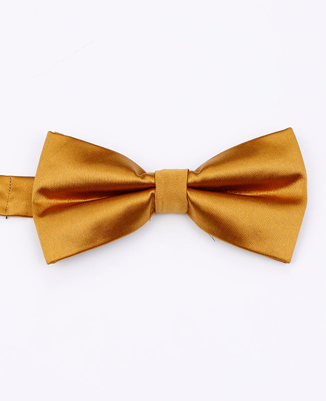 Noeud Papillon Or n°1 Homme en Polyester | Jules - Unipap's