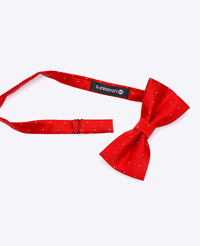 Fluga Röd n°2 med Prickar Herr Polyester | Georges - Unipap's