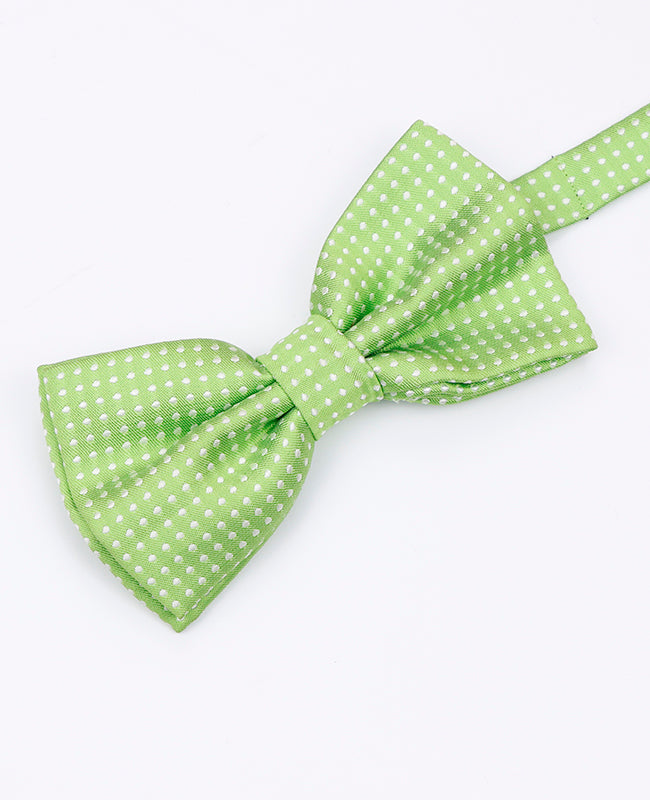 Fluga Grön n°1 med Prickar Herr i Polyester | Louis - Unipap's
