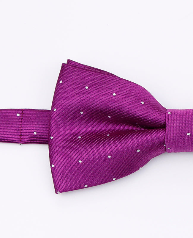 Fluga Lila med Prickar Herr Polyester | Georges - Unipap's