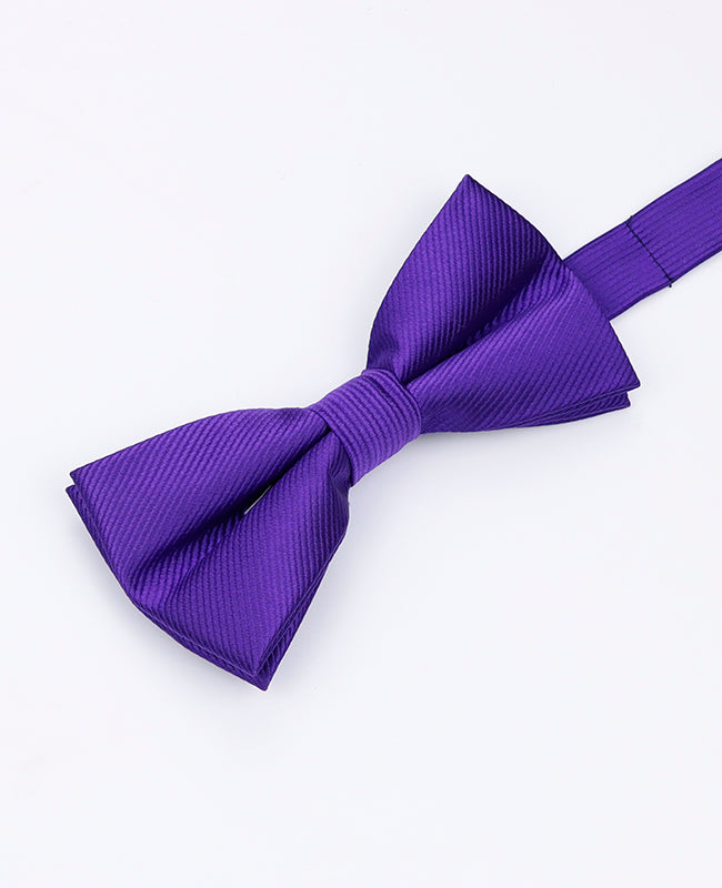 Noeud Papillon Violet n°1 Homme en Polyester | Lucien - Unipap's