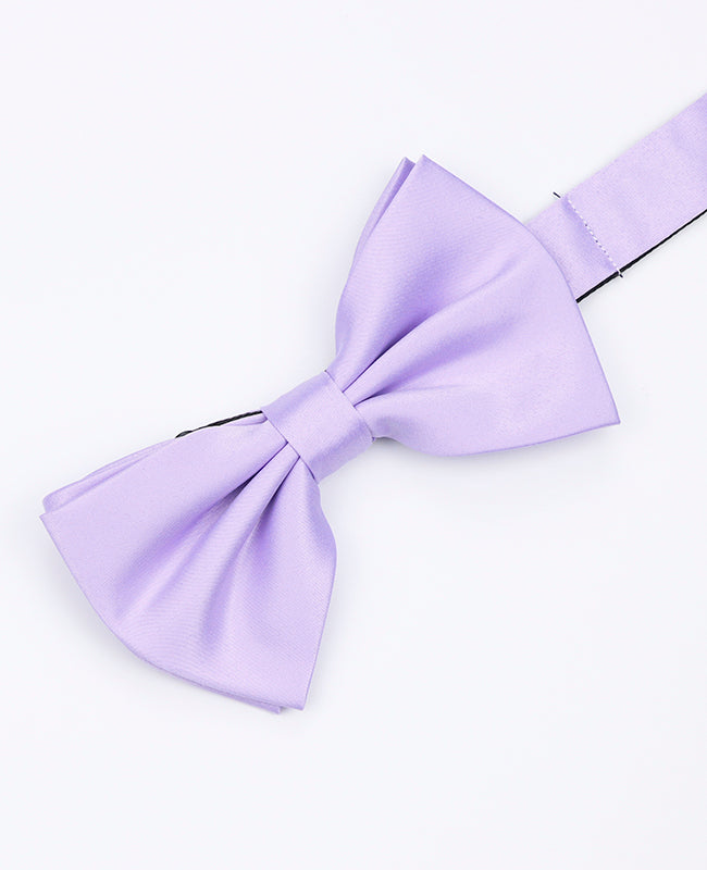 Noeud Papillon Violet n°2 Homme en Polyester «Anatole»