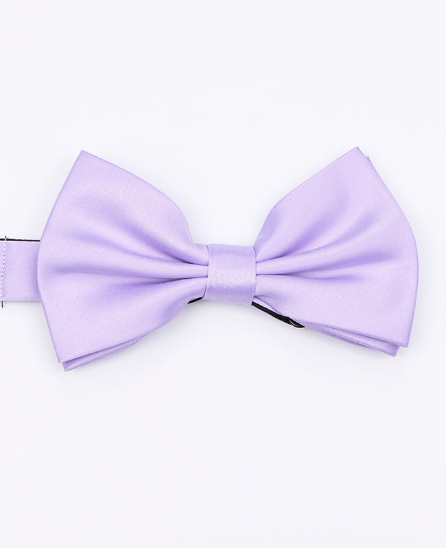 Noeud Papillon Violet n°2 Homme en Polyester «Anatole»