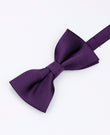 Noeud Papillon Violet n°2 Homme en Polyester | Lucien - Unipap's