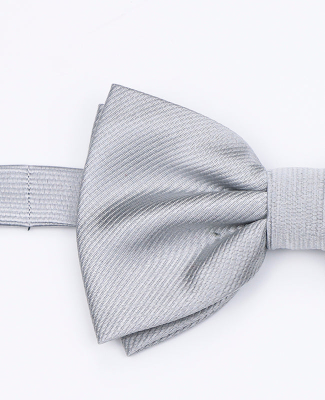 Fluga XL Grå n°2 Herr Polyester | Lucien - Unipap's