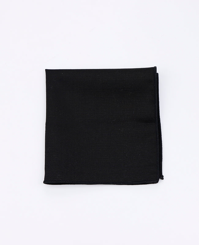 Kavajnäsduk Svart Herrar Polyester 