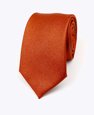 Slips med Terracotta-paljetter nr 1 herr i polyester | Armand - Unipap's