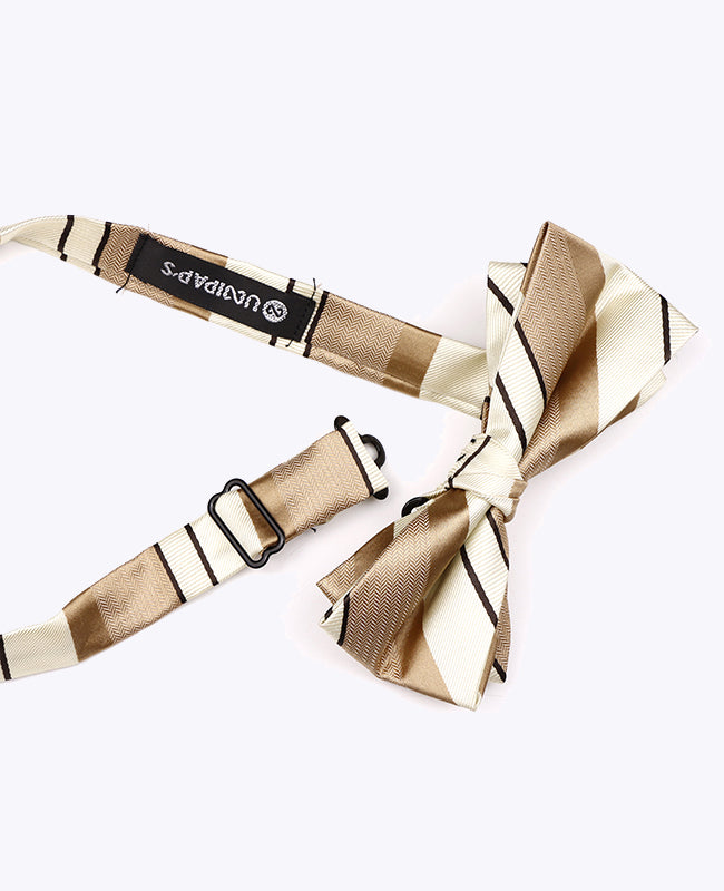 Fluga Beige n°1 randig Herr Polyester «Edmond»