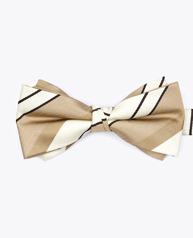 Fluga Beige n°1 randig Herr Polyester «Edmond»