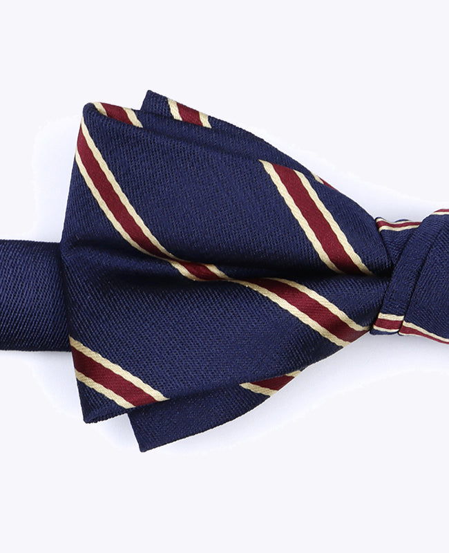 Fluga Blå Herr randig i Polyester «Edmond»