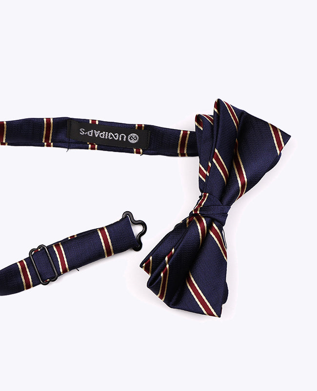 Fluga Blå Herr randig i Polyester «Edmond»
