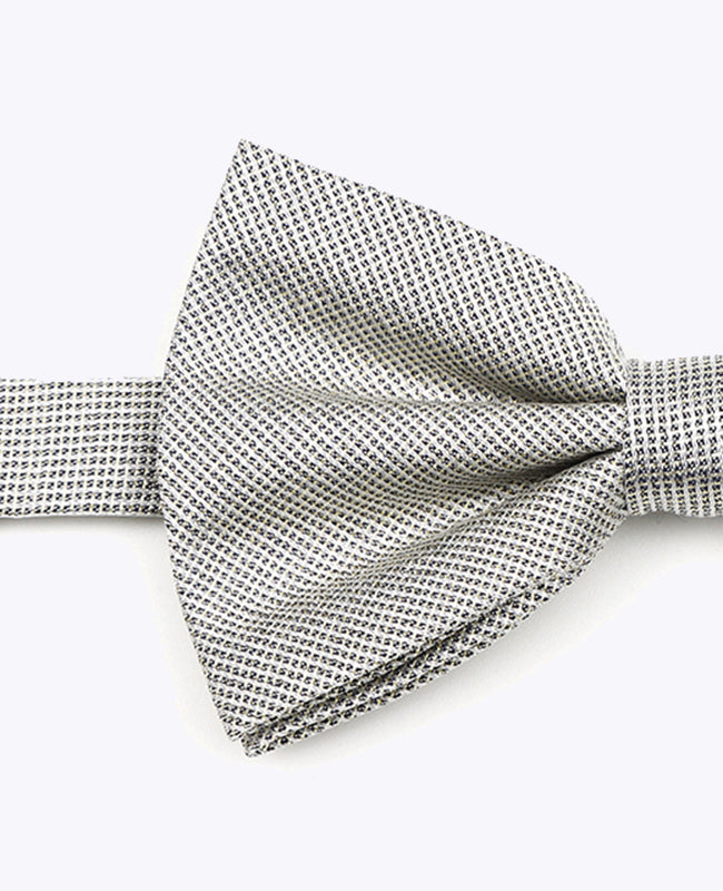 Glitterfluga Silver nr 1 Herr i Polyester | Léonard - Unipap's