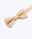 Fluga med guldpaljetter nr 1 barn i polyester | Armand - Unipap's
