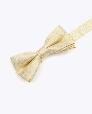 Glitterfluga Guld n°2 Barn Polyester 