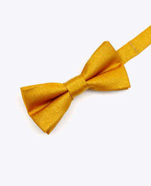 Fluga med guldpaljetter nr 3 barn i polyester | Armand - Unipap's