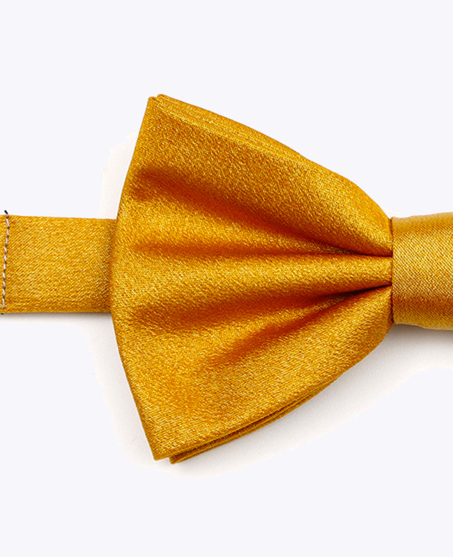 Noeud Papillon à Paillette Doré n°3 Homme en Polyester | Armand - Unipap's