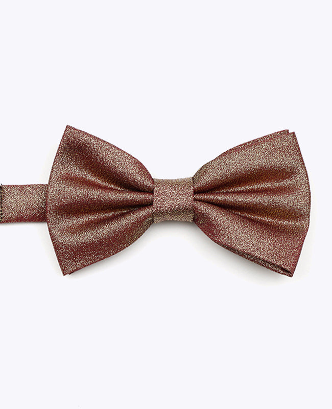 Noeud Papillon à Paillette Marron n°2 Homme en Polyester | Isidore - Unipap's