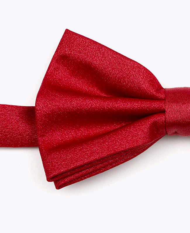 Fluga med röda paljetter nr 2 herr i polyester | Armand - Unipap's