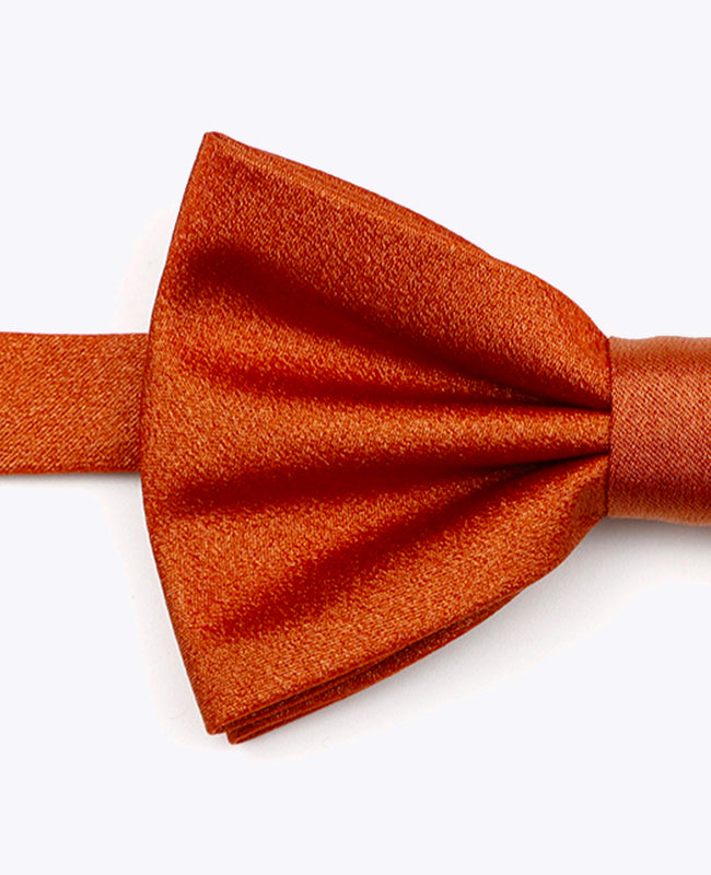 Fluga med Terracotta-paljetter nr 1 herr i polyester | Armand - Unipap's