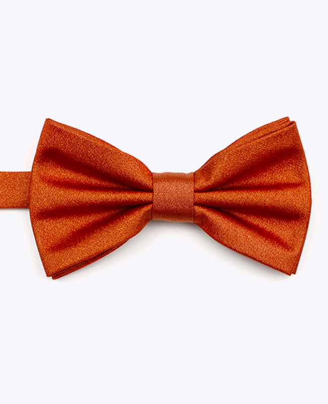 Fluga med Terracotta-paljetter nr 1 herr i polyester | Armand - Unipap's