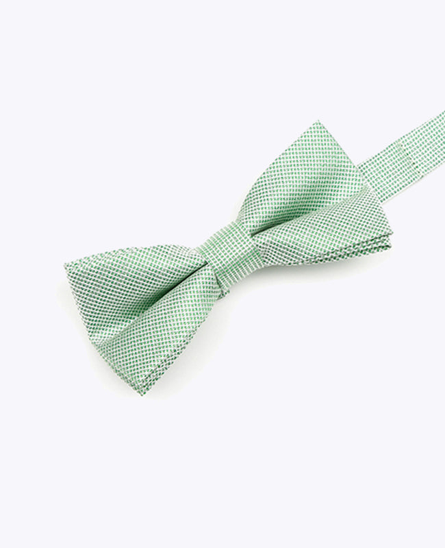 Glitterfluga Grön nr 1 Barn i Polyester | Léonard - Unipap's