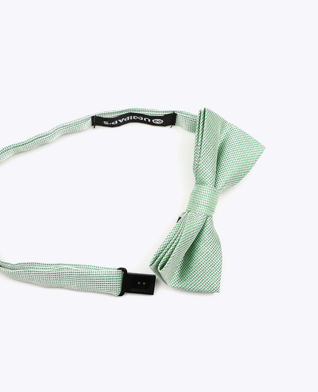 Glitterfluga Grön nr 1 Barn i Polyester | Léonard - Unipap's