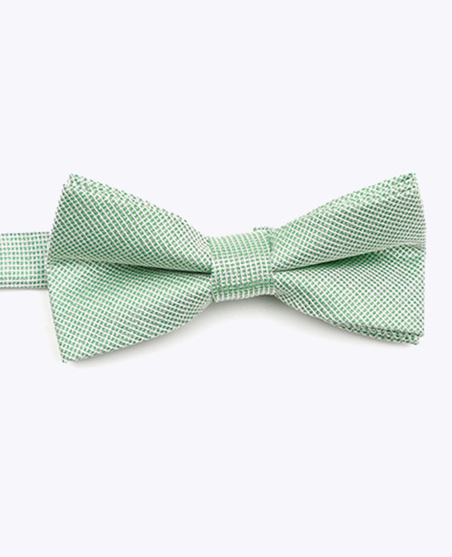 Glitterfluga Grön nr 1 Barn i Polyester | Léonard - Unipap's