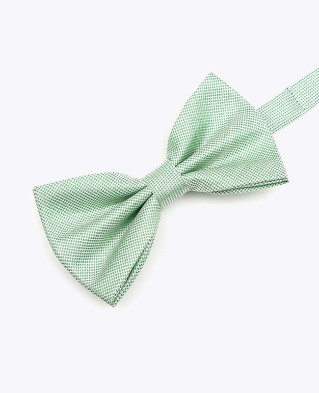 Glitterfluga Grön nr 1 Herr i Polyester | Léonard - Unipap's