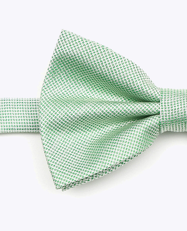 Glitterfluga Grön nr 1 Herr Polyester | Léonard - Unipap's
