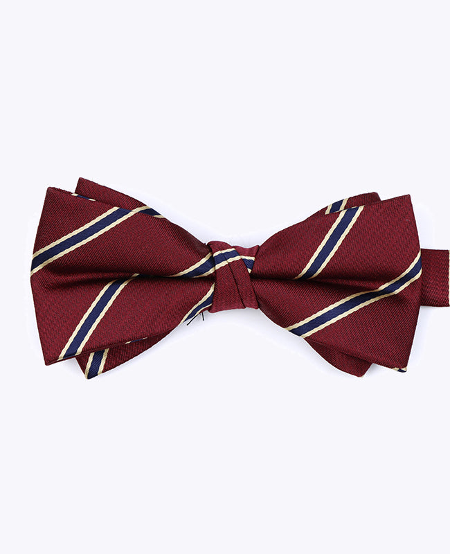 Noeud Papillon Rouge à Rayures Homme en Polyester «Edmond»