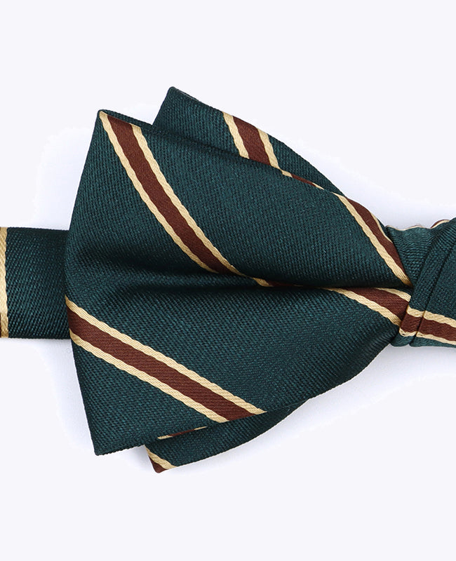Fluga Grön randig Herr i Polyester «Edmond»